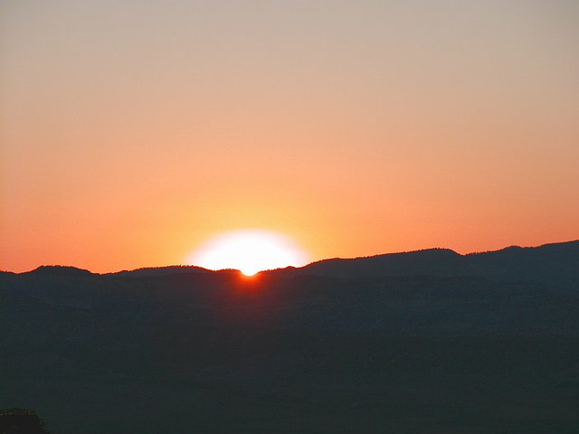 <b>