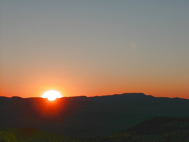 <b>