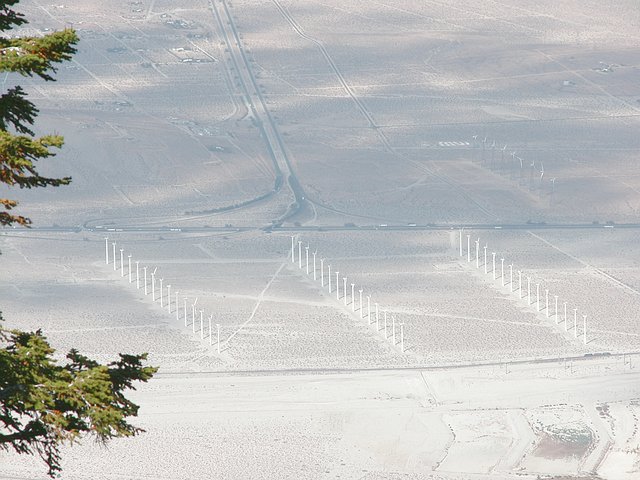 <b>