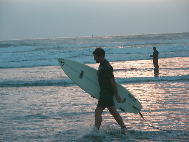 <b>Surfin USA